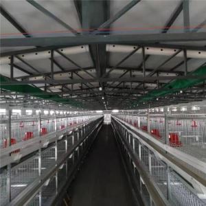 Chicken feed line